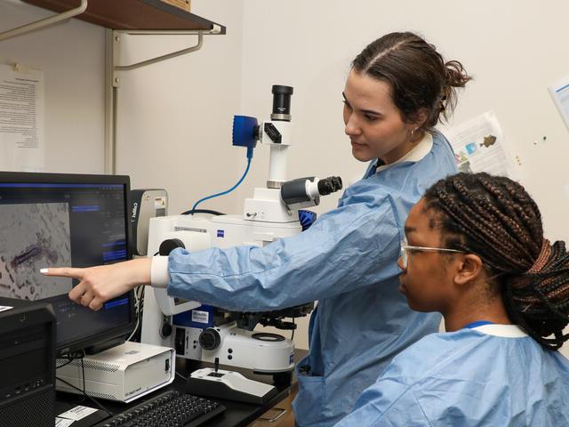 两个学生在实验室里看着电脑屏幕上的显微镜图像.
